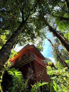 Cabaña Anturios - Copey