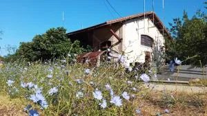 Albergue & Cafetería Vía de la Plata Hervás - Ciudad-Rodrigo