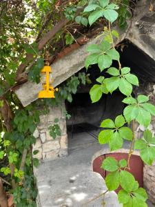 Apartman Mišo 