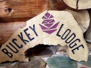 Chalets Buckey Lodge, a 2 minutes des cascades de Tendon : photos des chambres