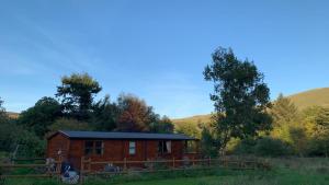 Songbird Lodge - Near brew pub10 mins from Snowdon