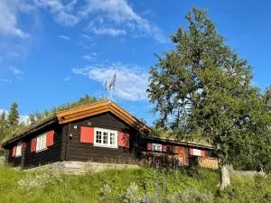 Elveseter - log cabin with an amazing view - 温斯特拉