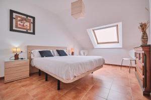 Palmeira Vistamar by Serendipia Turismo