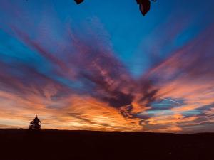 Appartements Un havre de quietude au coeur des Montagnes : photos des chambres