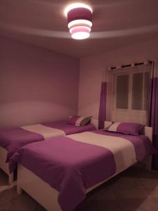 Appartements Andrian Location