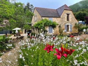 Maisons de vacances Esparoutis : photos des chambres