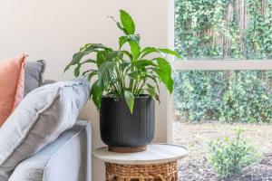 Cosy Corner Hideaway