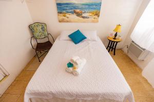 Vieques Tropical Guest House