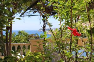 MAISON AVEC SPLENDIDE VUE MER et MONACO 5 minutes des PLAGES