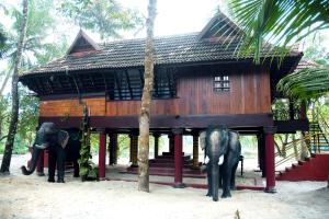 Elephant Courtyard- A Heritage Homestay