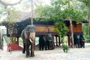 Elephant Courtyard- A Heritage Homestay - Vayalār