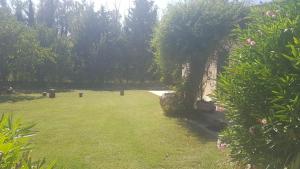 Villas Eden : photos des chambres