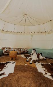 Tentes de luxe Le Couche t'Art : photos des chambres