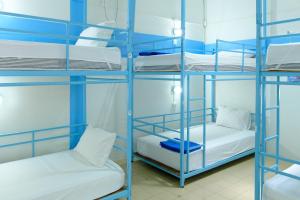 Giường Trong Phòng Tập Thể Cả Nam Và Nữ 8 Giường (Bed in 8 Bed Mixed Dormitory)