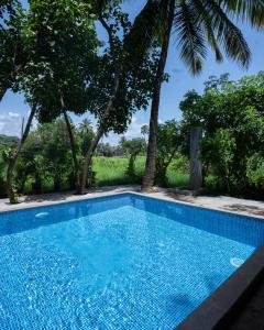 Lotus Feet Cottages, 100 Odd Meters from Morjim Beach