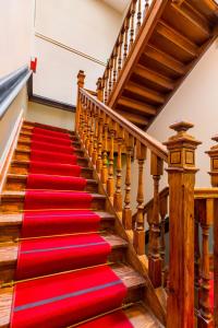 Appartements Au Chat Qui Dort Lille - Villa Gounod : photos des chambres