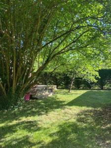 Maisons de vacances Maison bois au coeur de la nature : photos des chambres