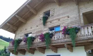Appartement Haus Pichler - Leogang