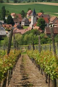 Maisons de vacances Gite Vignoble de Cleebourg : photos des chambres