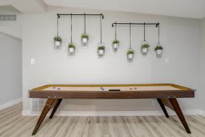 Lady Luck Oasis Large Pool Central Dogs Welcome