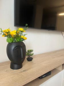 Guest House Open Room