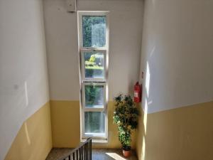 Apartment near beach with sea view