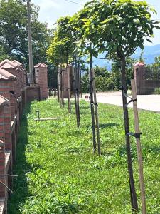 Apartmani Vinarije IN