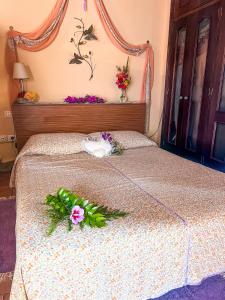 Quaint artist cottage in marvelous nature - Alegrias