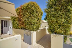 Acolhedor Apartamento de 1 Quarto com Terraço