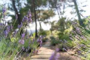 Appartements Le Chant des Pins Lodge & Spa Massif de l'Etoile : photos des chambres