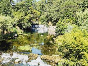 obrázek - villa en pleine nature