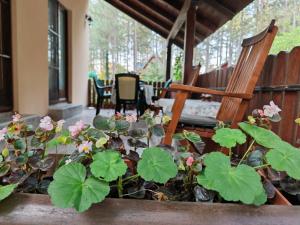 Apartmani Todorovic
