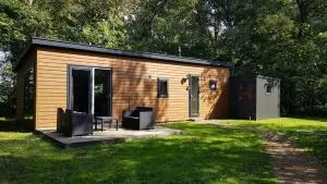 Vakantiehuis Fochteloërveen - Fochteloo