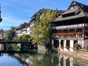 Appartements Loft Saint Thomas - Petite France : photos des chambres