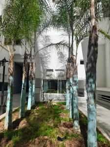 Appartement au centre de la ville de Meknès