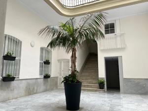 Casa Manuel de Falla by Cadiz4Rentals