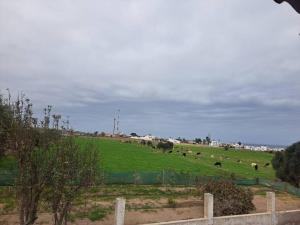 Linda casa de campo en Mejia - Arequipa