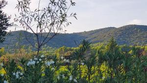 Maisons de vacances Reve en Luberon : photos des chambres