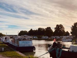 Bateaux-hotels L'Amazone - bateau sur le canal de bourgogne : Mobile Home