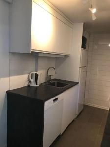 Larvik appartment in the city