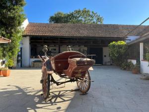AVEIRO MAIAS VILLAGE - CASA DO ÁLVARO