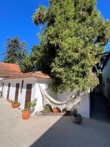 AVEIRO MAIAS VILLAGE - CASA DO ÁLVARO