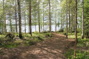 Accommodation and Fishing Vonkale