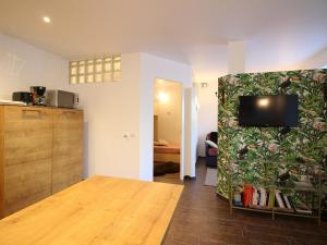 Appartement T2 avec WiFi, proche thermes, 4 pers, Mont-Dore - FR-1-608-252