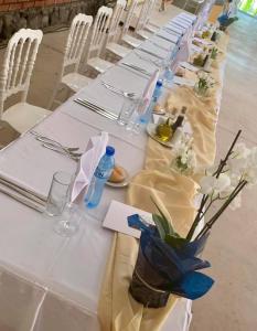 Hotel Divna