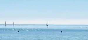 Storchennest am Dümmer - Stemwede