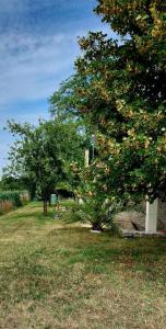 Maisons de vacances Le Clos de Fanny - Belle longere charentaise : photos des chambres