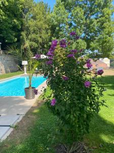 Manoir de la Côte-Dieu