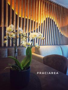 Pra Ciarea Apartments