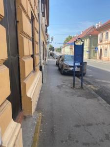 Zlatica Petrovaradin